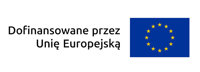 Dofinansowano przez Unię Europejską